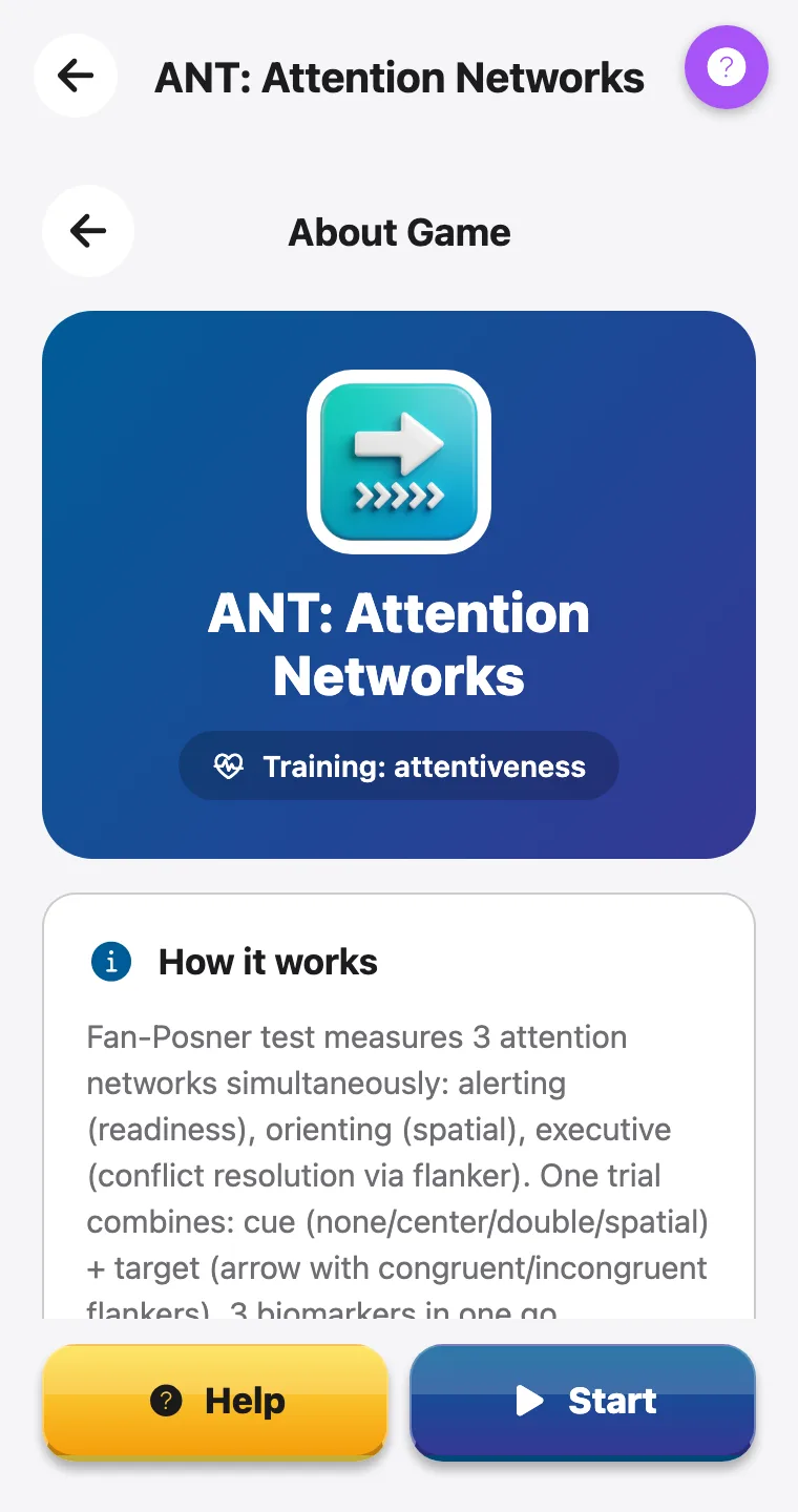 ANT: Attention Networks — screenshot